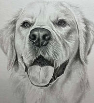 5e496f35-33b8-4795-881c-63a21dee3a44.jfif