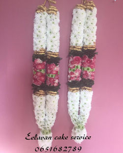 15178298_460138347443302_7800598659477455843_n