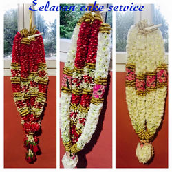 13321749_386500264807111_6454801194902374563_n