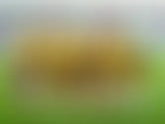 Colombia hace historia en Polonia y conquista su primera medalla en un Mundial Femenino Sub-20