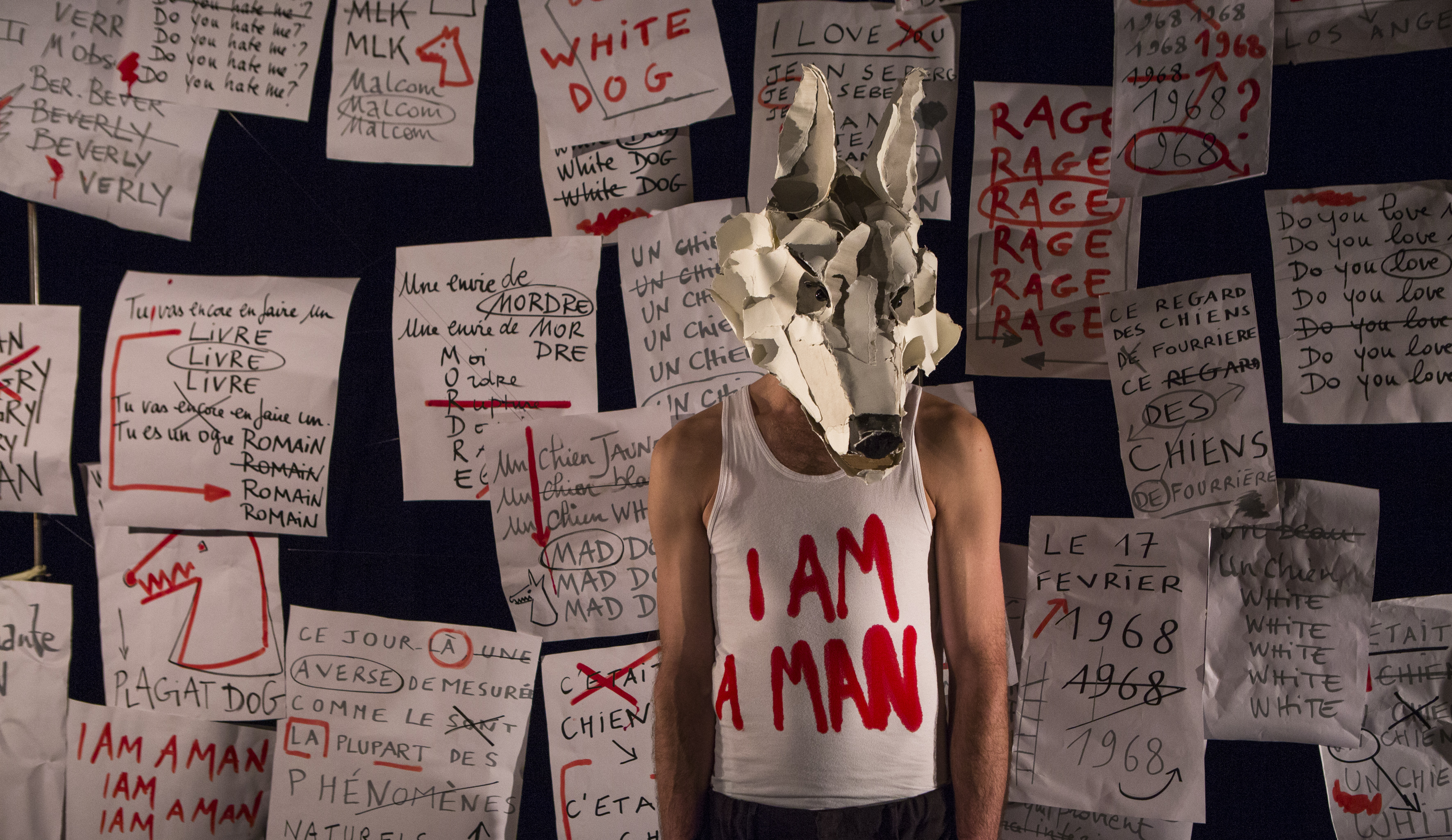 White Dog En Lesangesauplafond