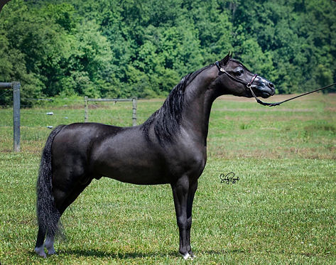 CARMEL TRU CONVIVTION.jpeg