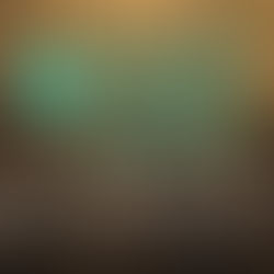 🌿 Highly Enfused Wins the CMA Award for Creative Excellence in Natural Health 2025!