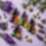 frankincense , lavender, geranium, tea tree essential oils with cbd hemp plants behind the