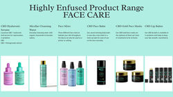 Highly Enfused Press Kit page 10