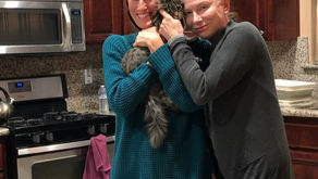 Rocky Found His FurEver Home!