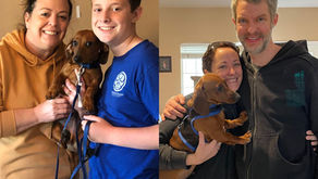 Bruno & Oscar (formerly Pluto) Found Their FurEver Homes!