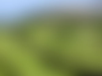 Les plus beaux golfs des Alpes Maritimes