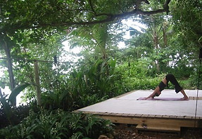 hatha yoga.jpeg