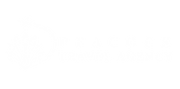 Peacock Travel logo.png