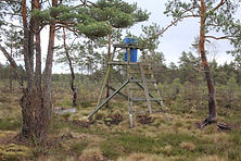 IMG_8171.JPG