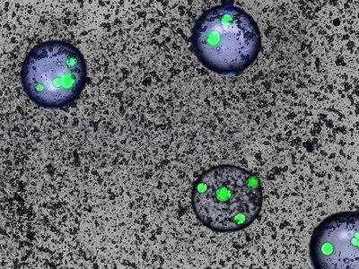 Agrivalle and Ginkgo Bioworks partner on technology for next-gen fertilizers and biocontrol agents