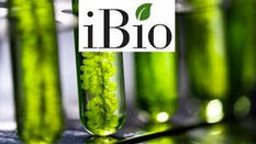 iBio, an AI-driven innovator of precision antibody immunotherapies, closes $3.5 million financing