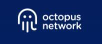 Octopus Network closes on $5 million and will launch its multi-chain cryptonetwork for blockchains
