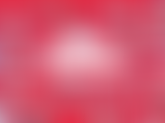 Twilio accepts Red Oxygen, a short message service solutions provider, as a Silver Level Partner