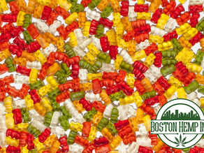 Boston Hemp, the largest wholesaler of Delta-9 and HHC edibles continues to add new products