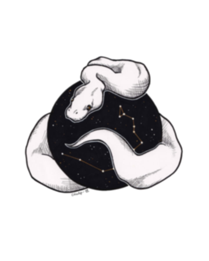 "SERPENS (THE SNAKE)"