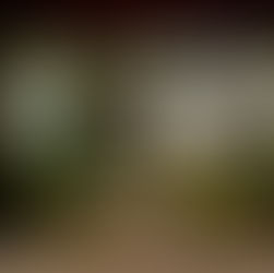 Ise Kawasaki Syouninkan