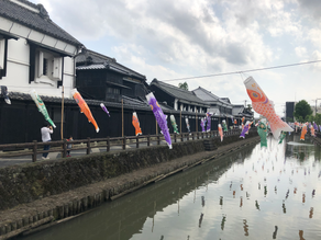 Spiral Carp Streamers over Uzuma River 