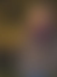 5 Instagram-Worthy Photo Spots in Lemont: A Local Photographer's Personal Picks