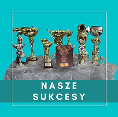 nasze sukcesy (2).jpg