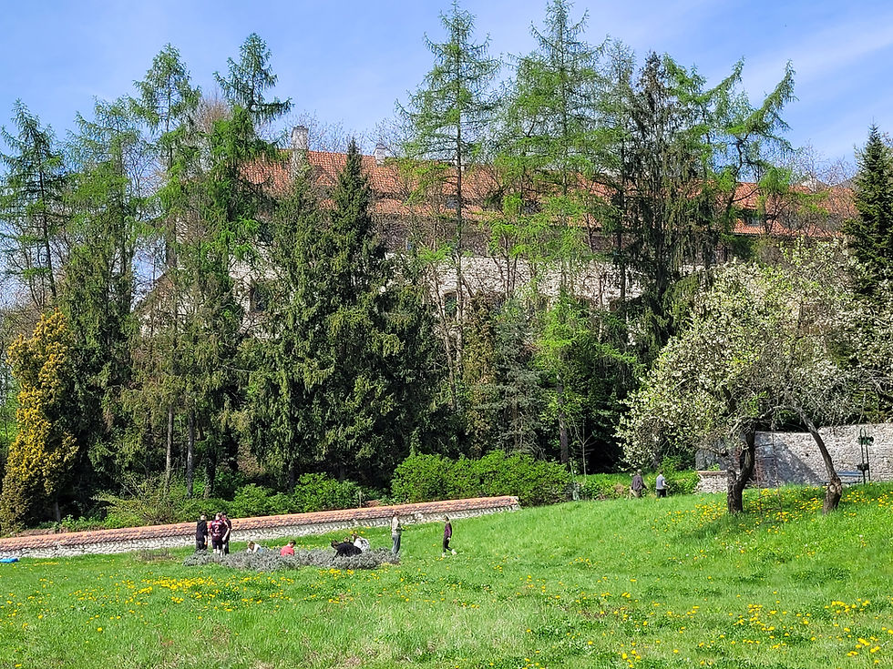 Wolontariat w Opactwie Benedyktynów w Tyńcu