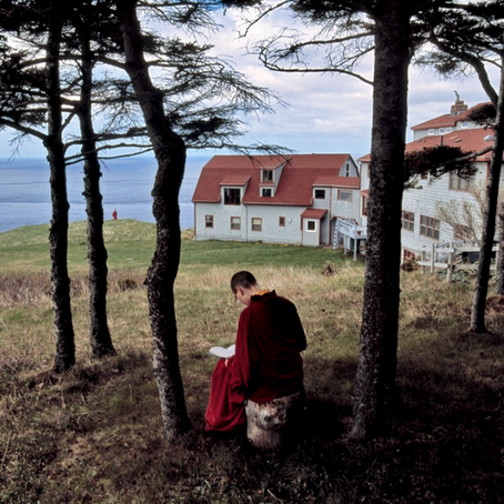 FEBRUARY 2025 NEWSLETTER