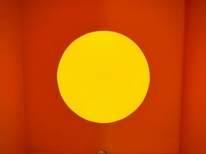 JANUARY 2025 NEWSLETTER