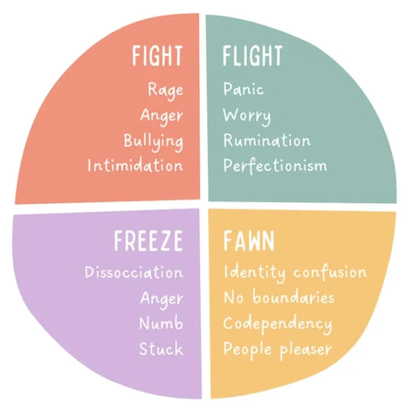 Colorful pie chart with four sections: Fight, Flight, Freeze, Fawn. Lists emotions like Rage, Panic, Dissociation, Identity confusion.