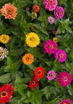 d12e78f2-2e56-431b-ae48-3a35268d1dc6.jpeg