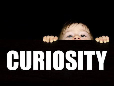 5. Embrace curiosity for growth