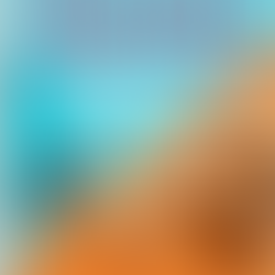 Pool Fun To Cupcakes and Coffee