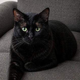 Samuel L Catson