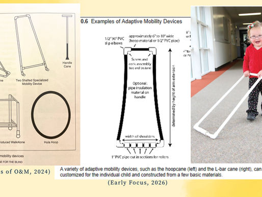 Collage of adaptive mobility devices and diagrams, with a smiling child in red using a white walker in a hallway.