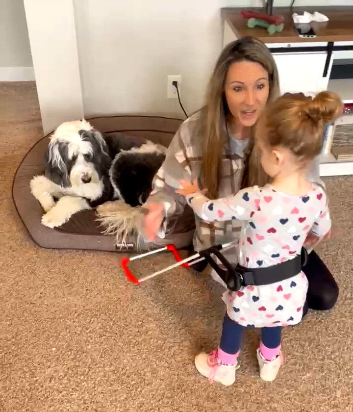 a one-year-old girl walks wearing a belt cane her mom looks happy and the belt cane stopped her at the edge of the dog bed as the dog looks on.