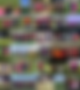 DNA Homepage (6).png