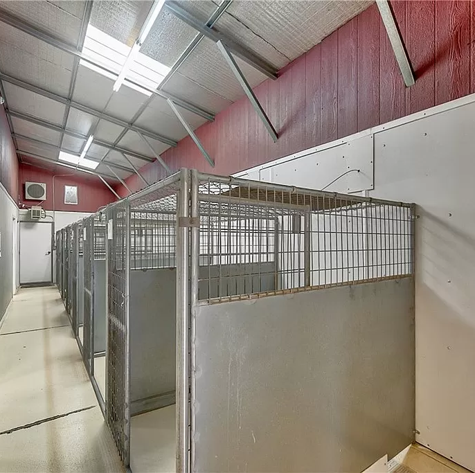 Home Lucky’s Dog House Daycare and Boarding