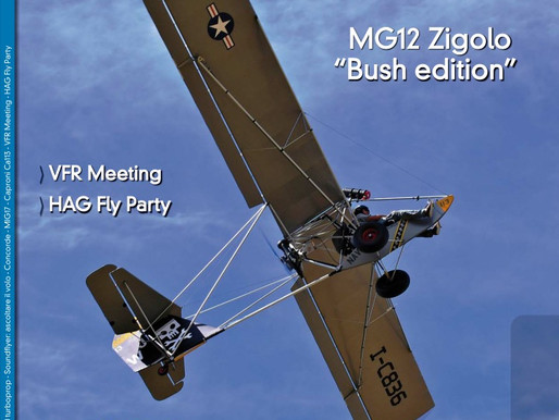 ZIgolo Mg12 Bush edition