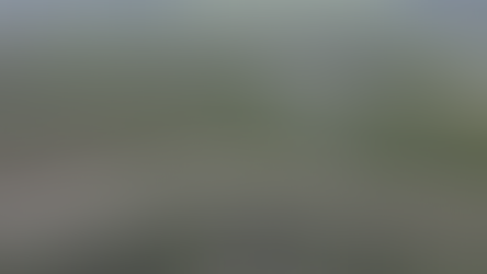 À Ferrier, dans le nord-est d’Haïti, le tracé du mur frontalier érigé par la République dominicaine fait des victimes, tandis que les autorités haïtiennes détournent le regard, au détriment des paysans ayant perdu des terres que leurs familles cultivent depuis des générations.