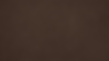 Fondo Floral Final.png
