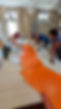 PXL_20230627_122450198.jpg