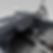 GUN-PREDATOR-03.png