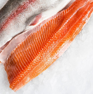 Ocean-trout.jpg