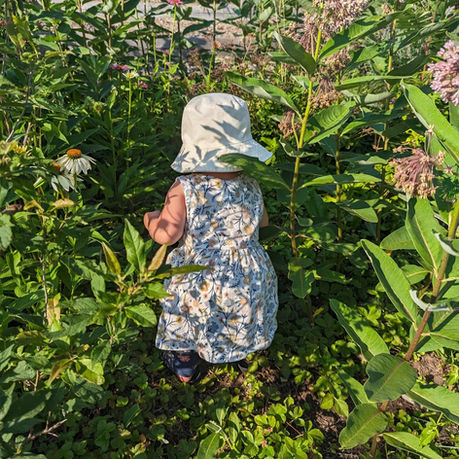 Rooted in Water: A Native Plants Talk & Tour