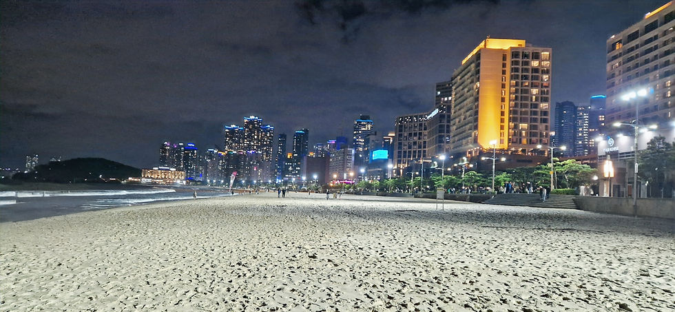 Beach night view