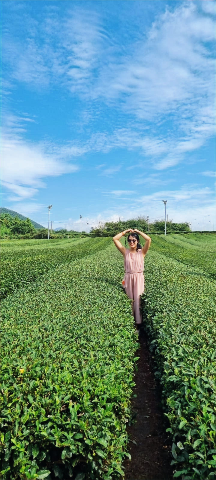 Wandering through the fields
