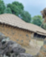 folk village houses