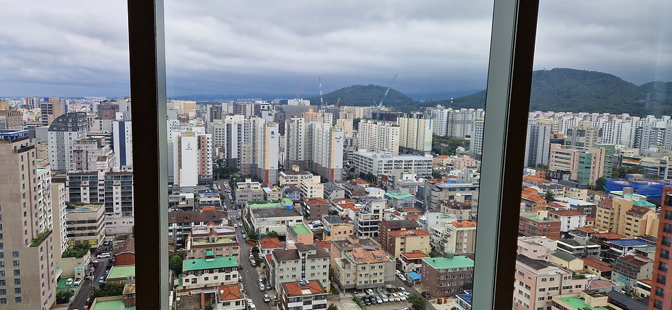 View from the hotel