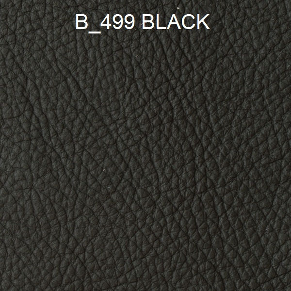 B_499 BLACK