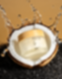 Zen Essential Scrub.png
